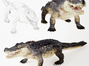 realistic crocodile 3D Model