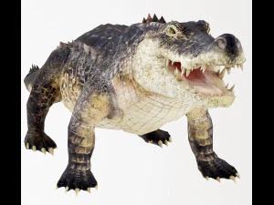 realistic crocodile 3D Model