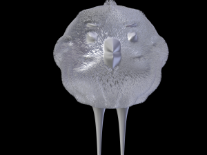 toy fur bird 3Dモデル