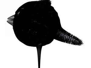 toy fur bird 3D Model