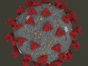 coronavirus 2019-ncov Modello 3D
