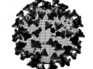 coronavirus 2019-ncov 3D Model