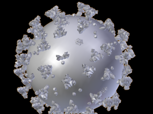 coronavirus 2019-ncov 3D Model