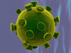 coronavirus cnn 2019-ncov 3D 모델