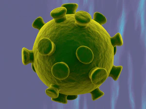 coronavirus cnn 2019-ncov Modello 3D