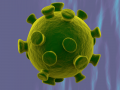 Coronavirus CNN 2019-nCoV 3D Model