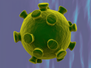 coronavirus cnn 2019-ncov 3D Model