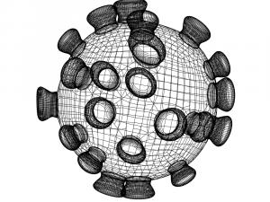 coronavirus cnn 2019-ncov 3D Model
