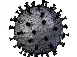 angry coronavirus 3D Model