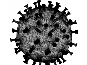 angry coronavirus 3D Model
