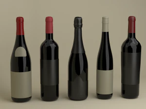 french wine bottles 3D Model