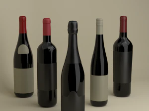 french wine bottles 3D Model