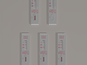rapid diagnostic test covid-19 3D 모델