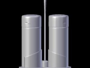 salt and pepper shaker 3Dモデル