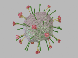 nipah virus 3D 모델