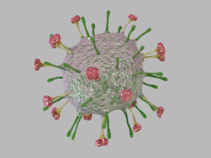 wirus nipah Model 3D