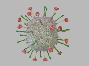 nipah virus 3D Model