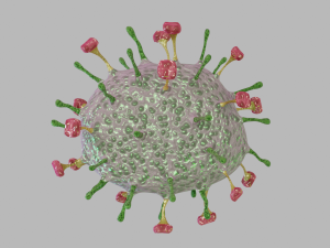 nipah virus 3D Model