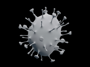 nipah virus 3D Model