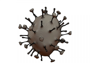 nipah virus 3D Model