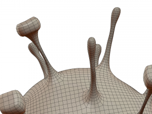 nipah virus 3D Model
