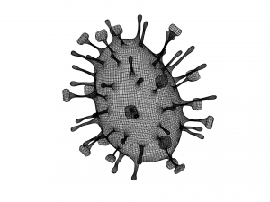 nipah virus 3D Model