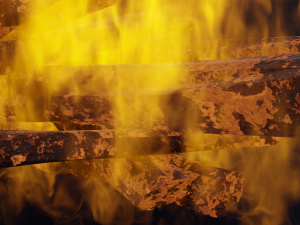 bonfire 3D Модель