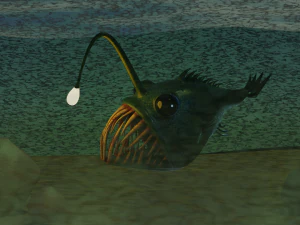 मछुआरे मछली 3D मॉडल