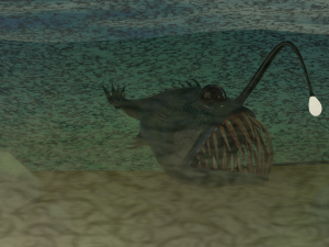 Angler fish Modèle 3D