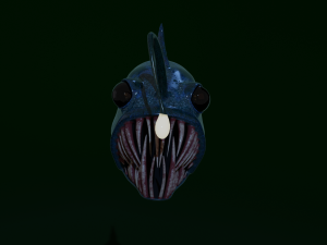 Angler fish Modèle 3D