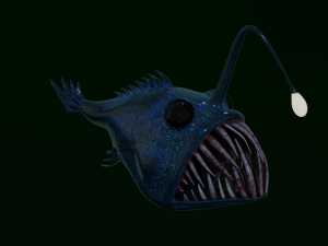 Angler fish Modèle 3D