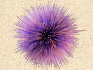 Fur ball 3D Model