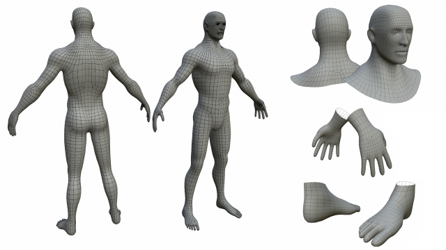 charcaters male anatomy low-poly Modèle 3D .c4d .max .obj .3ds .fbx .stl .blend 