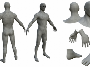 charcaters male anatomy low-poly 3D 모델