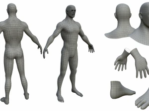 personaggi anatomia maschile low-poly Modello 3D