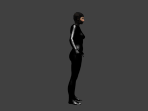 ninja girl 3D Model