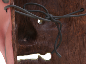 japanese mask tengu gigaku noh 3D Model