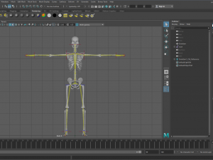 substance skeleton army 3D Model