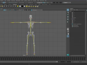substance skeleton army 3D Model
