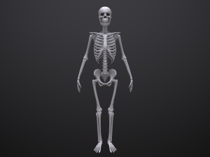 substance skeleton army 3D Model
