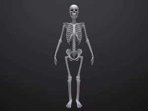 substance skeleton army 3D Model