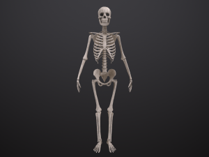 substance skeleton army 3D Model