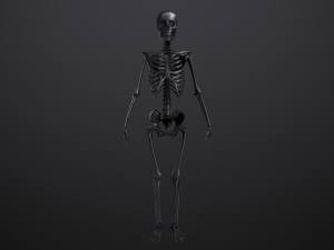 substance skeleton army 3D Model