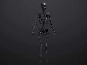 substance skeleton army 3D Model
