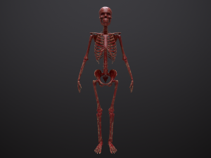 substance skeleton army 3D Model