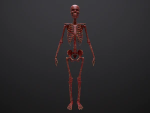 substance skeleton army 3D Model