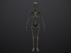 substance skeleton army 3D Model