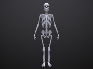 substance skeleton army 3D Model