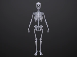 substance skeleton army 3D Model