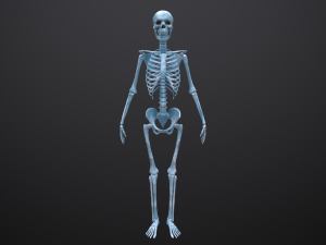 substance skeleton army 3D Model
